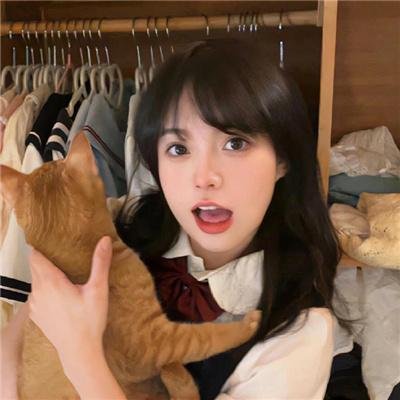 荡寇新传