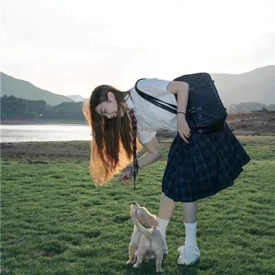 奇迹小雨燕